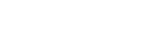 BESIX